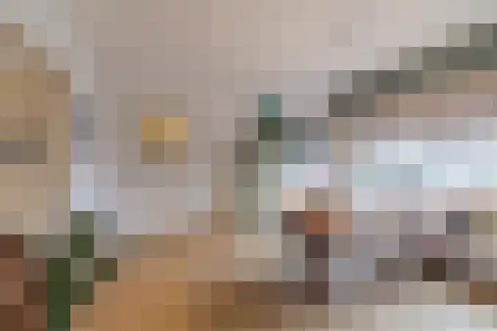 Julianaplein 33 Boskoop thumbnail 10