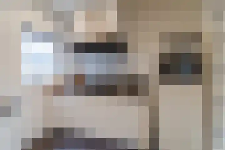 Julianaplein 33 Boskoop thumbnail 12