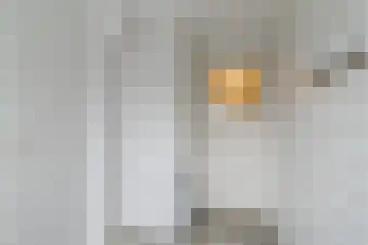 Julianaplein 33 Boskoop thumbnail 14
