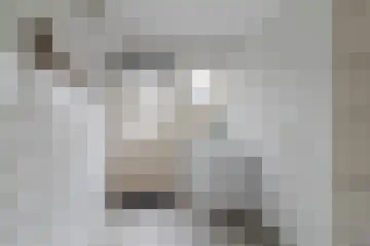 Julianaplein 33 Boskoop thumbnail 15
