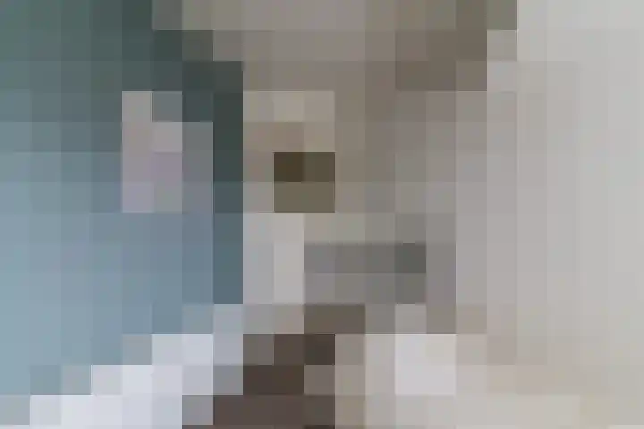 Julianaplein 33 Boskoop thumbnail 20