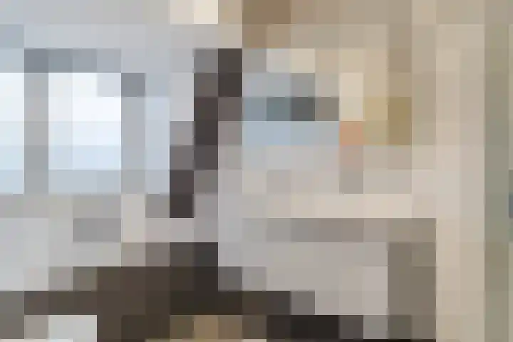 Julianaplein 33 Boskoop thumbnail 24