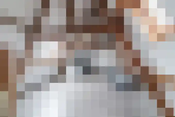 Julianaplein 33 Boskoop thumbnail 28
