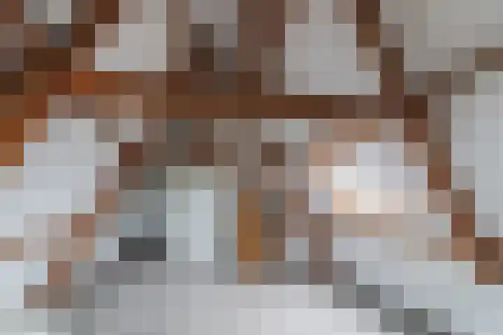 Julianaplein 33 Boskoop thumbnail 29