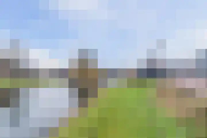 Julianaplein 33 Boskoop thumbnail 37