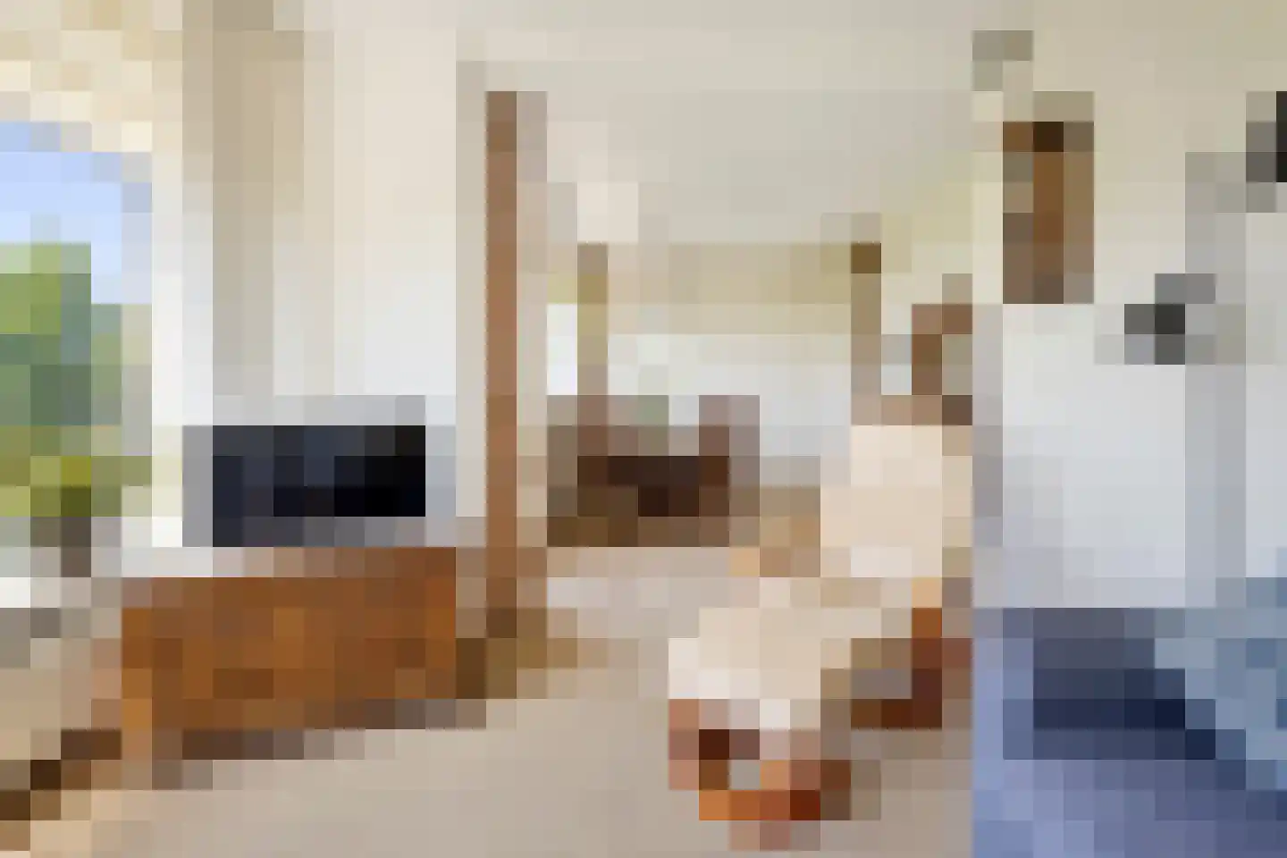Julianaplein 33 Den Helder thumbnail 14