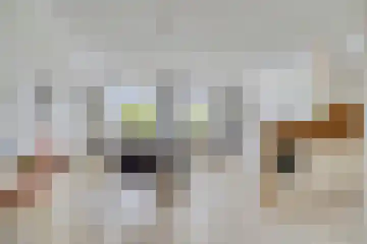 Julianaplein 4 c Zetten thumbnail 10