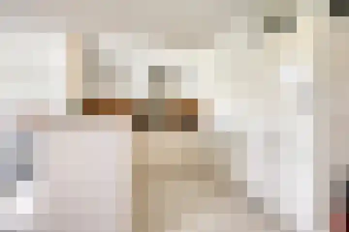 Julianaplein 4 c Zetten thumbnail 12