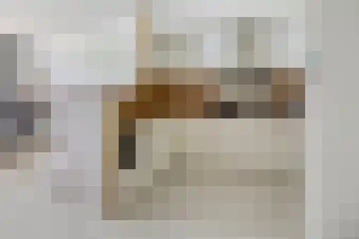 Julianaplein 4 c Zetten thumbnail 13