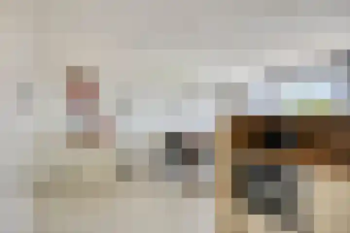 Julianaplein 4 c Zetten thumbnail 14
