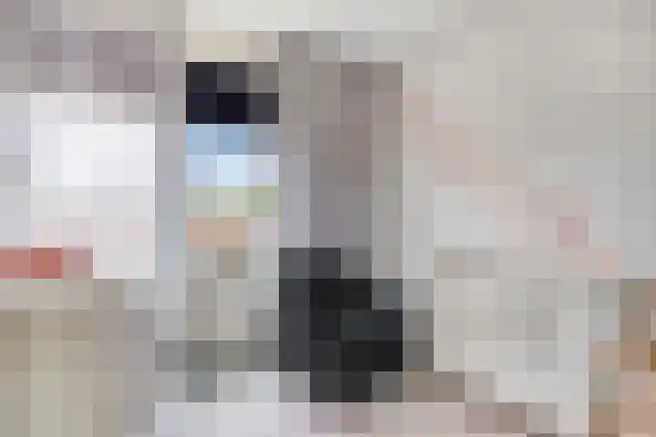 Julianaplein 4 c Zetten thumbnail 21