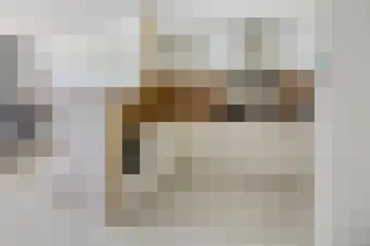 Julianaplein 4 c Zetten foto 3