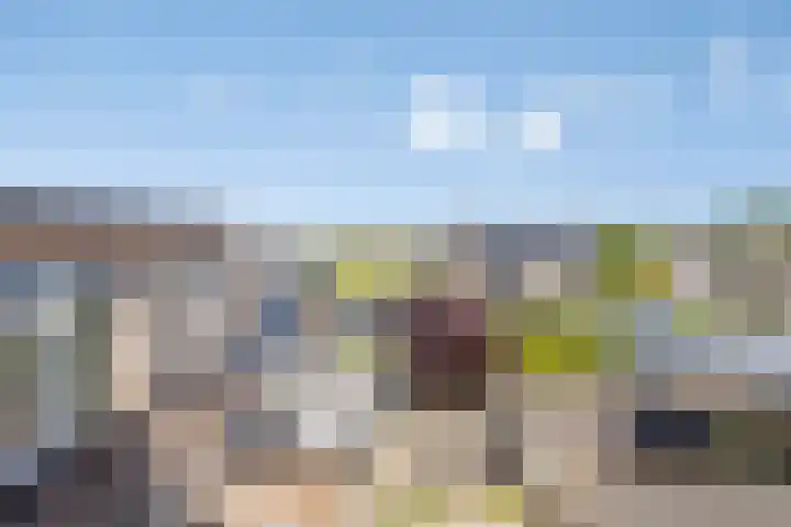 Julianaplein 45 Wijk aan Zee thumbnail 23