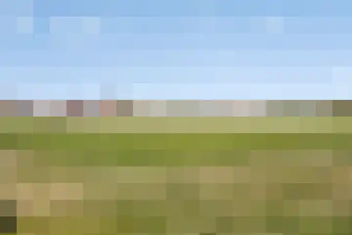 Julianaplein 45 Wijk aan Zee thumbnail 24