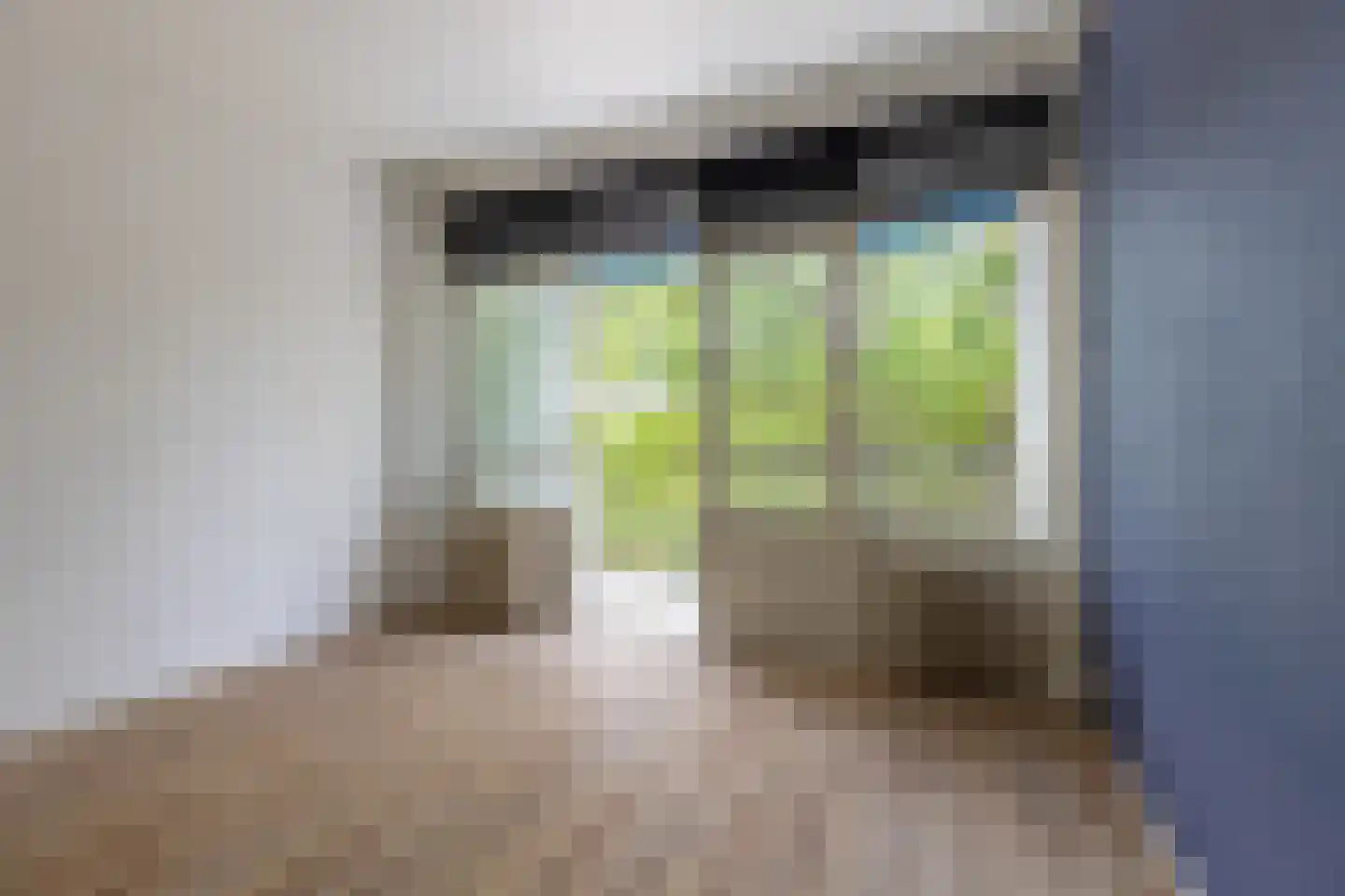 Julianaplein 46 Bussum thumbnail 17