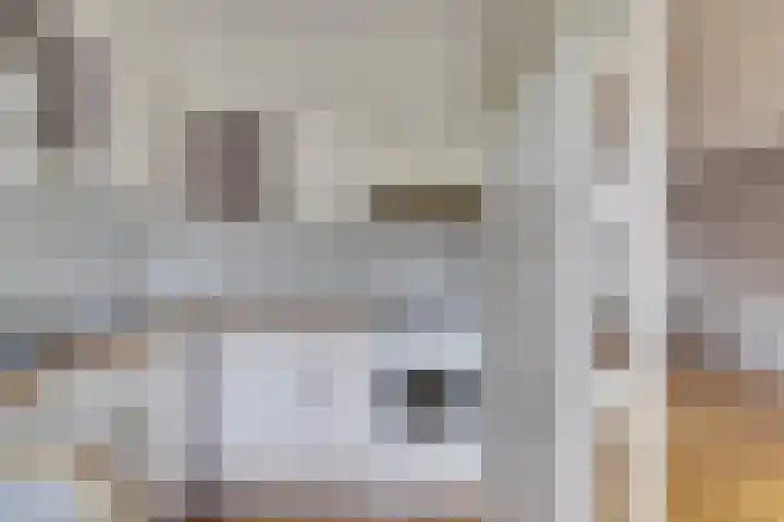 Julianaplein 5 Kortgene thumbnail 12