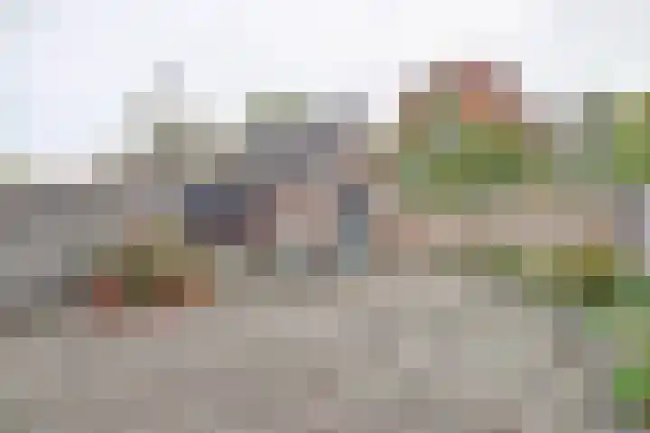 Julianaplein 5 Kortgene thumbnail 26