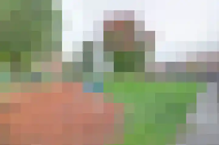 Julianaplein 5 Kortgene thumbnail 28