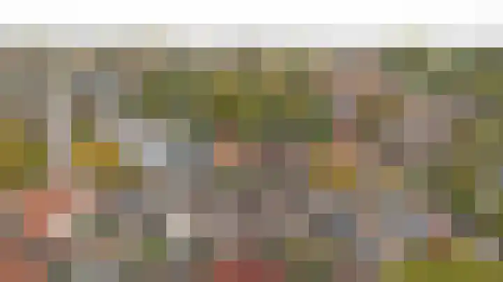 Julianaplein 5 Kortgene thumbnail 30