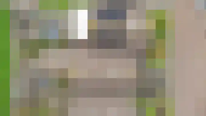 Julianaplein 5 Kortgene thumbnail 31