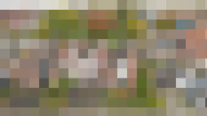 Julianaplein 5 Kortgene thumbnail 32