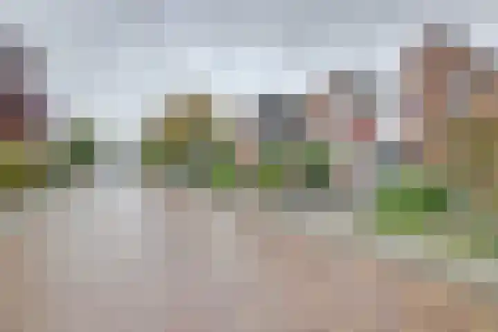 Julianaplein 5 Kortgene thumbnail 33