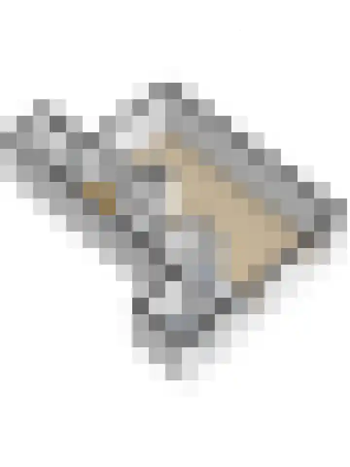 Julianaplein 5 Kortgene thumbnail 39