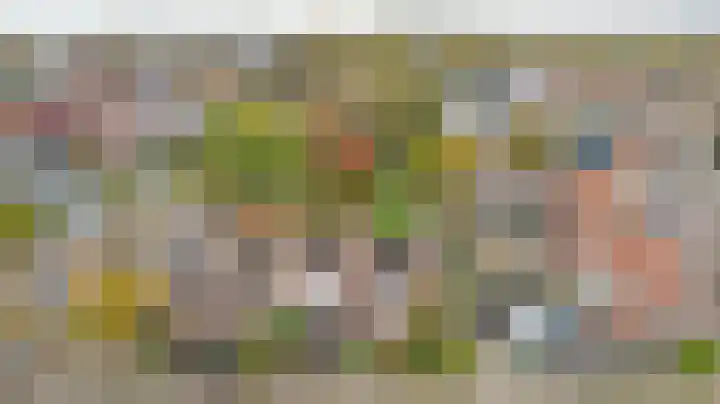 Julianaplein 5 Kortgene thumbnail 4
