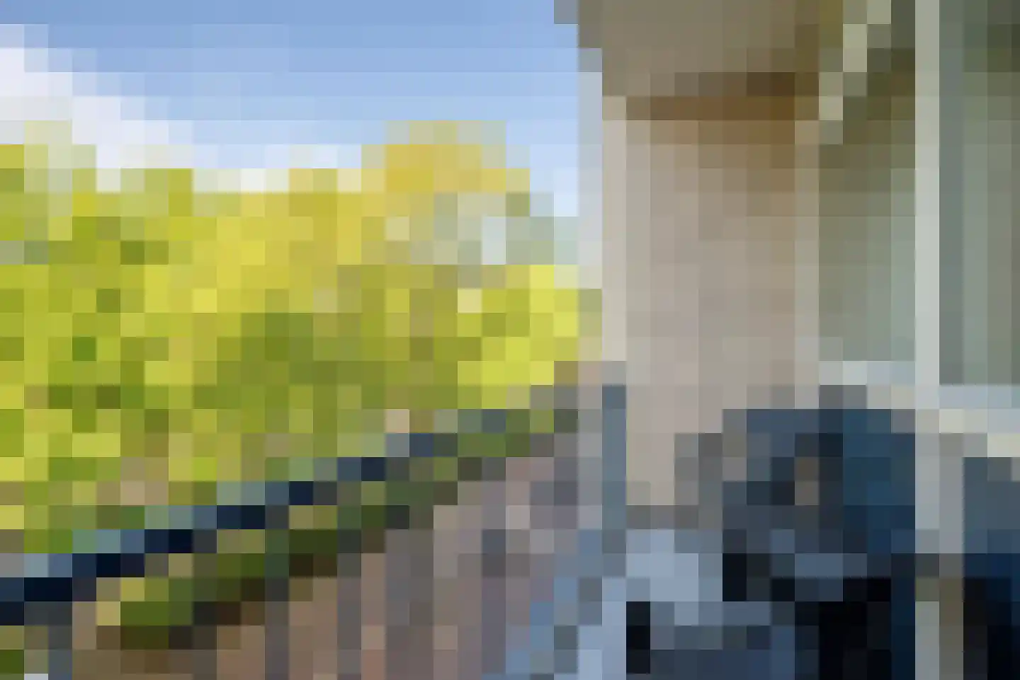Julianaplein 53 Den Helder thumbnail 19