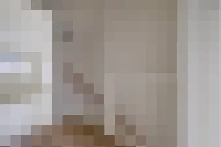 Julianaplein 55 Beuningen Gld thumbnail 17