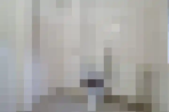 Julianaplein 55 Beuningen Gld thumbnail 30