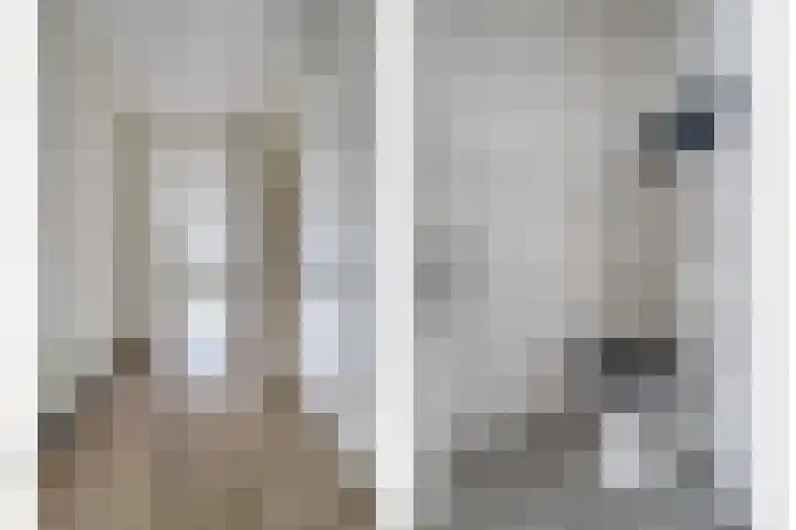 Julianaplein 55 Beuningen Gld thumbnail 8