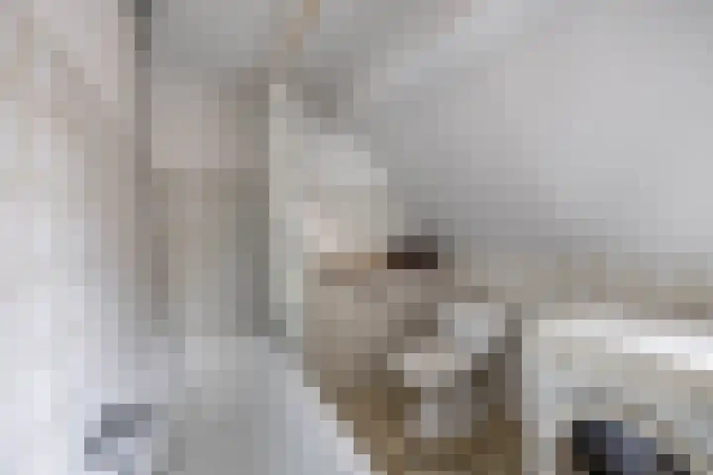Julianaplein 6 Boskoop thumbnail 10