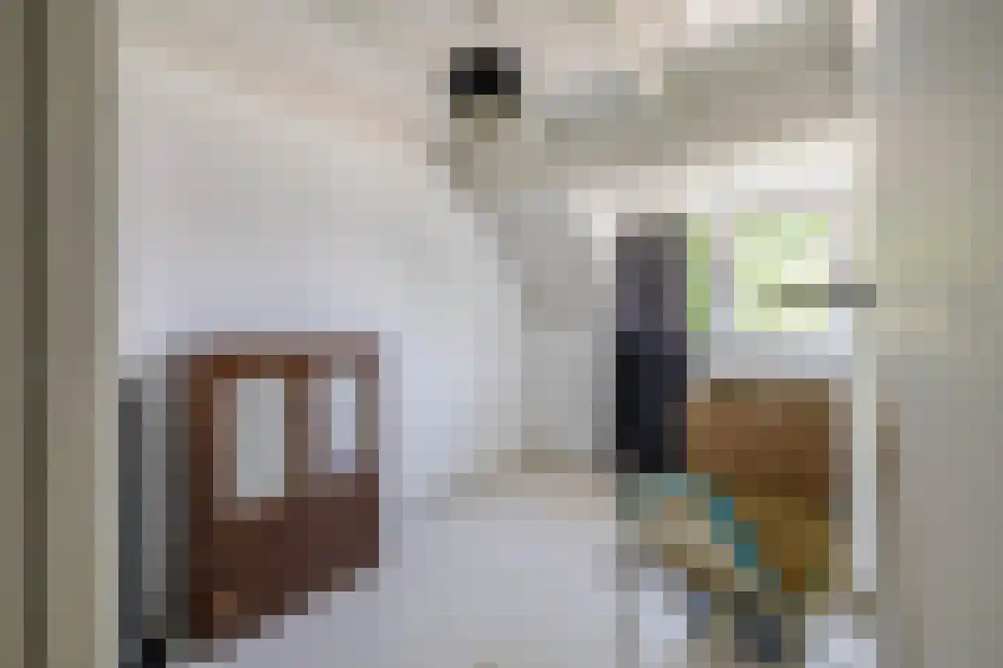 Julianaplein 6 Boskoop thumbnail 8