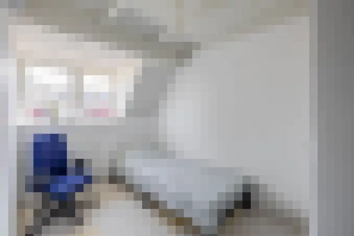 Julianaplein 6 Boskoop thumbnail 9
