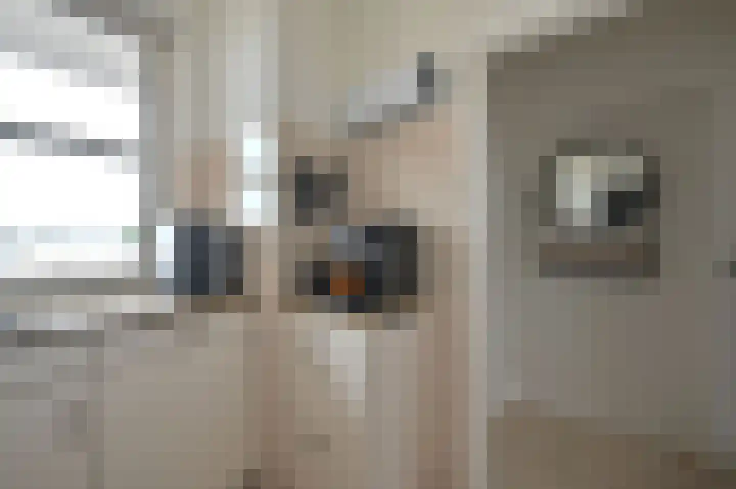 Julianaplein 68 Bussum thumbnail 10