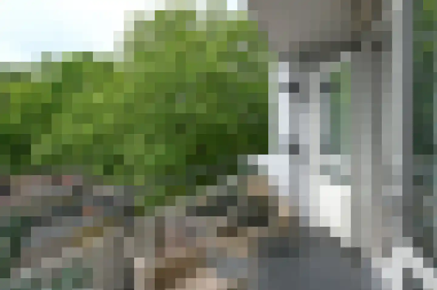 Julianaplein 68 Bussum thumbnail 7