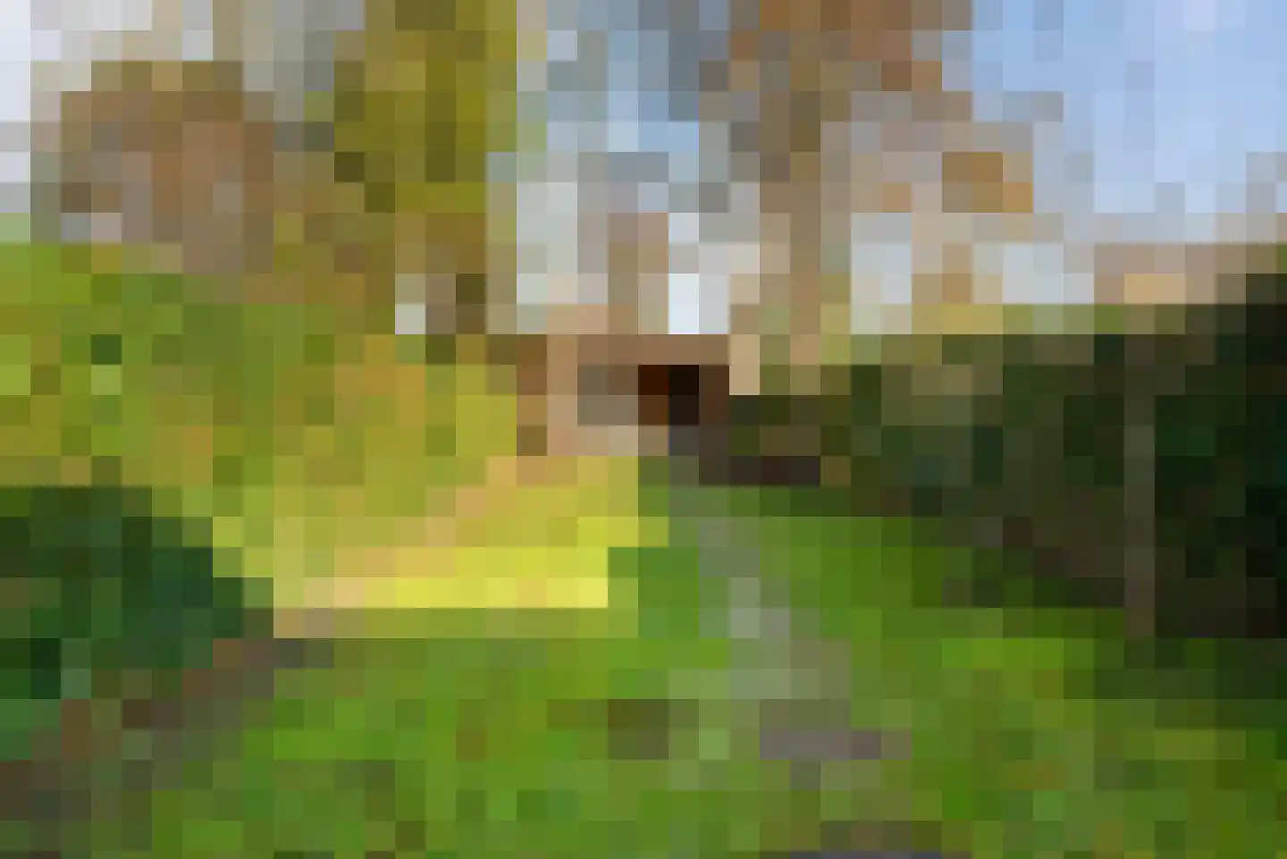 Julianaplein 7 Heemstede thumbnail 14