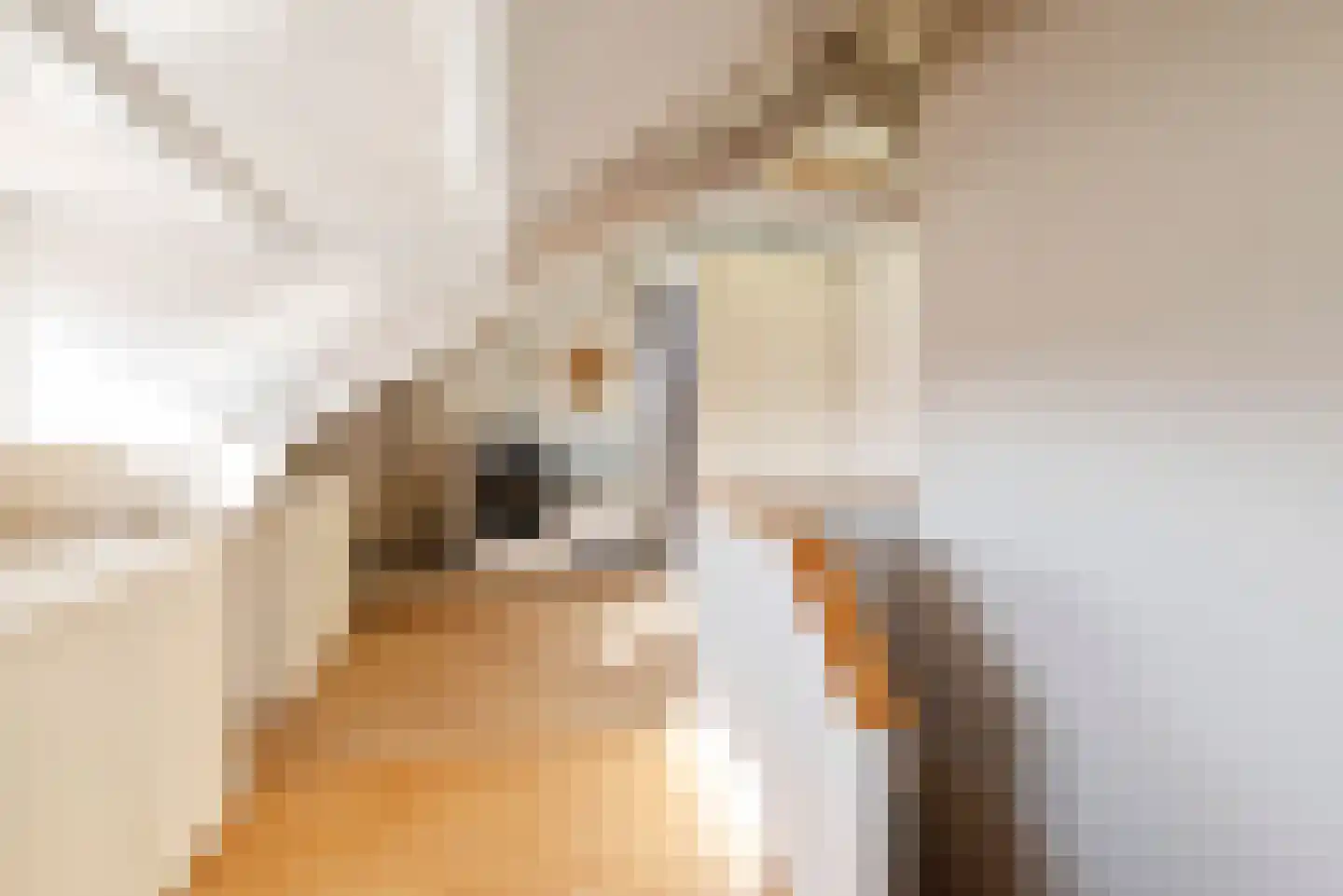 Julianaplein 7 Heemstede thumbnail 38