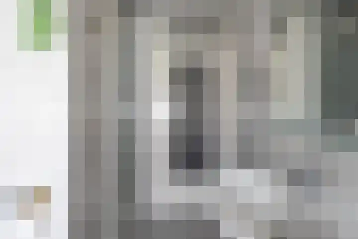Julianaplein 7 Noordwijkerhout thumbnail 21