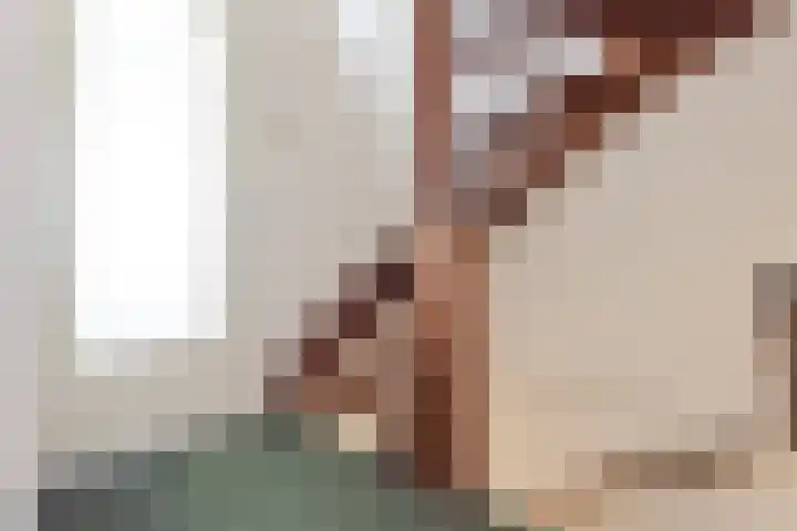 Julianaplein 7 Noordwijkerhout thumbnail 32
