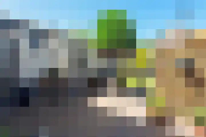 Julianaplein 7 Noordwijkerhout thumbnail 36