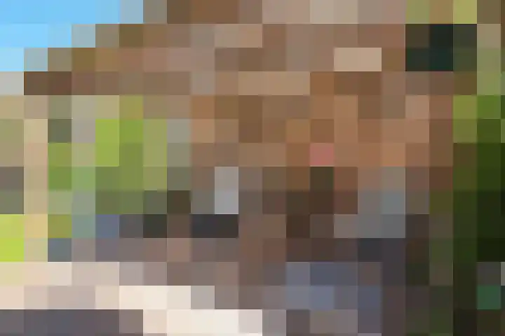 Julianaplein 7 Noordwijkerhout thumbnail 39