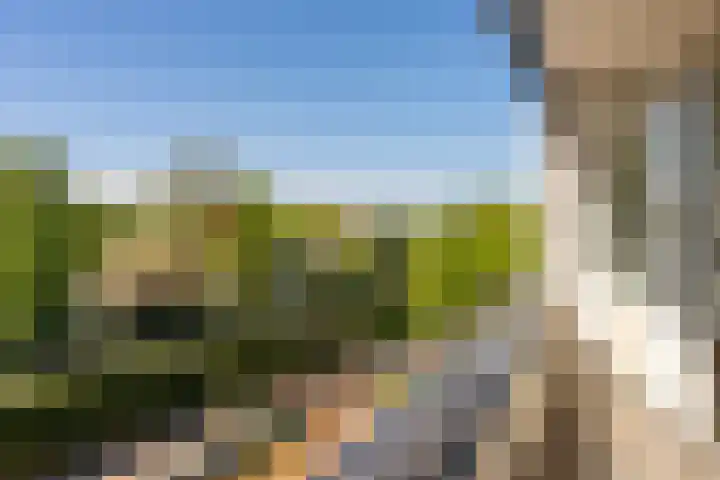 Julianaplein 72 Bussum thumbnail 10