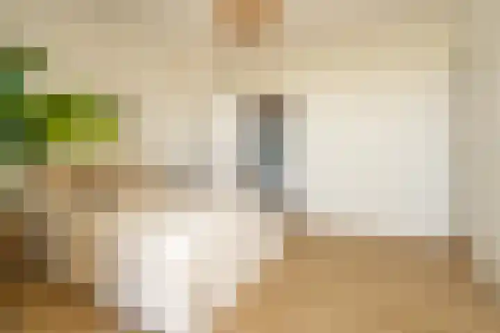 Julianaplein 72 Bussum thumbnail 15