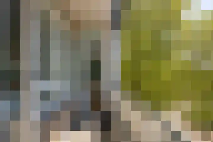 Julianaplein 72 Bussum thumbnail 19
