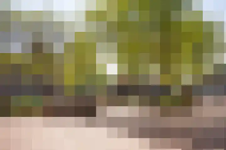 Julianaplein 72 Bussum thumbnail 21