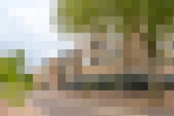 Julianaplein 72 Bussum thumbnail 23