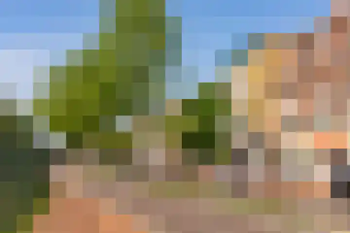 Julianaplein 72 Bussum thumbnail 24