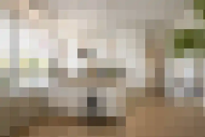 Julianaplein 72 Bussum thumbnail 4